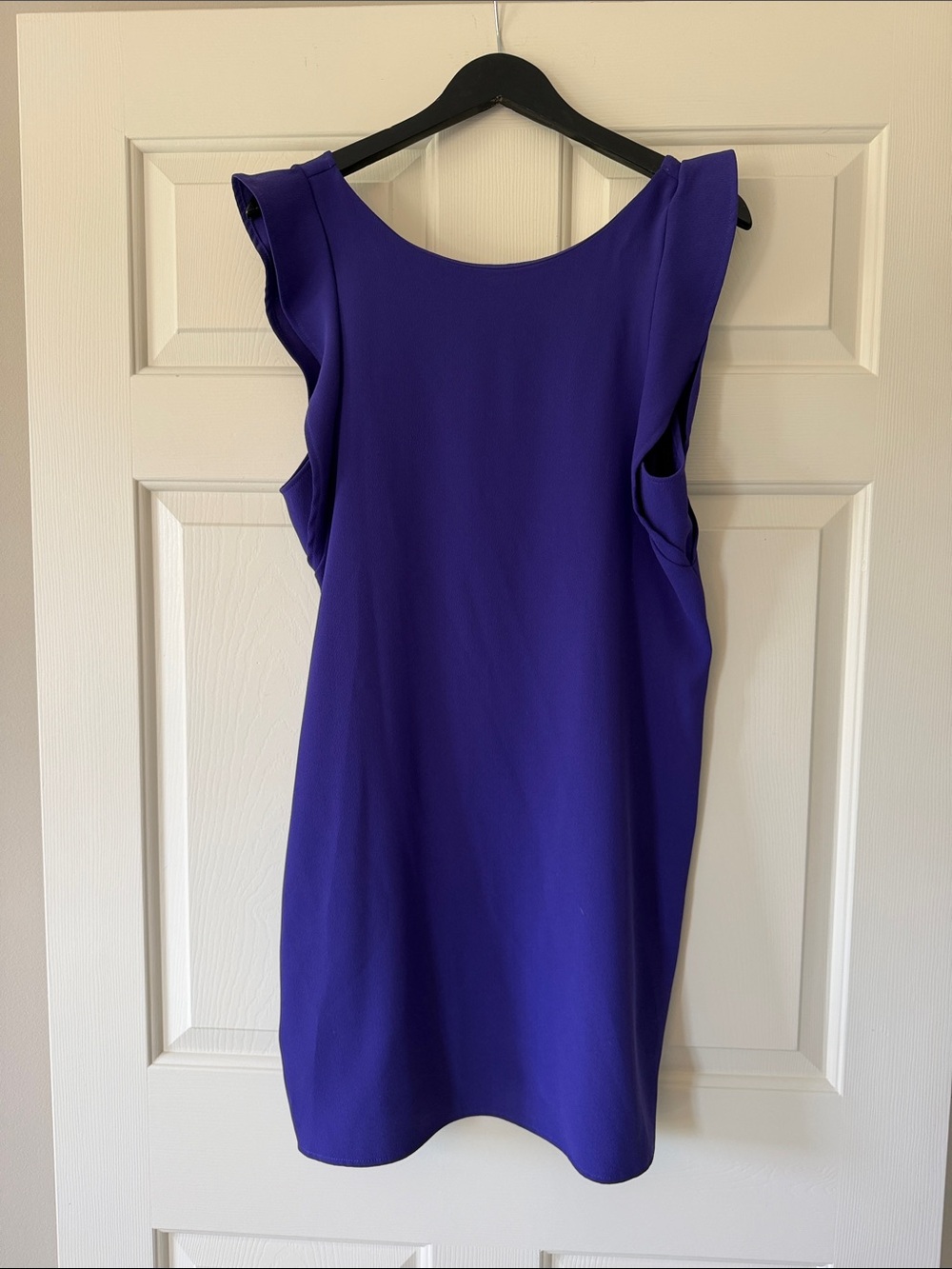 Everly Bold Purple Ruffled Sleeve Mini Dress